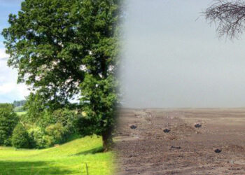 بدون عنوان 1