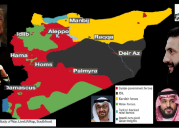 السلطة والدولة في سوريا:إشكالية الانتقال نحو الديمقراطية الليبرالية
