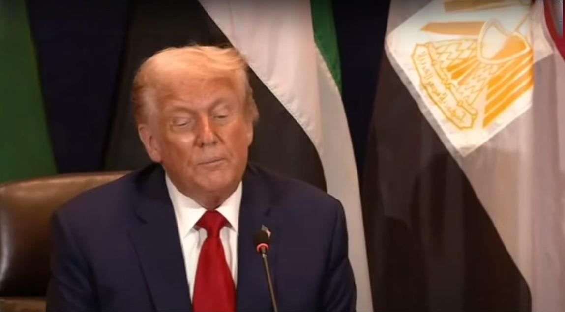 تزوير العلم المصري