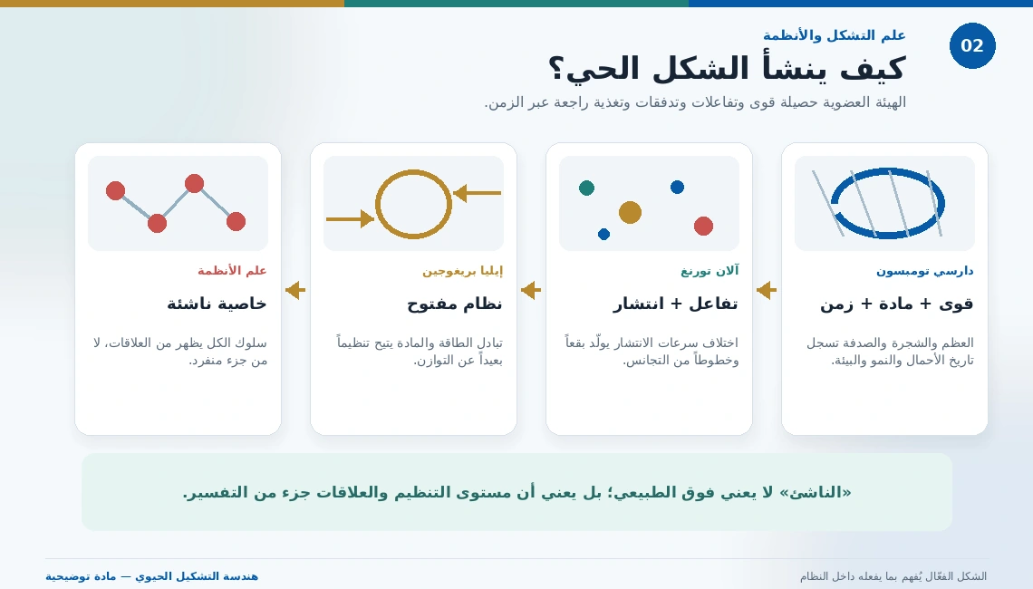 مخطط يربط أفكار دارسي تومبسون وتورنغ وبريغوجين وعلم الأنظمة في تفسير نشوء الشكل الحي.