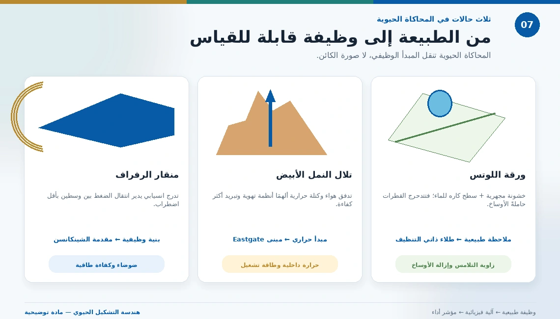 ثلاثة أمثلة توضح نقل وظيفة طبيعية إلى أداء هندسي قابل للقياس في الطلاءات والمباني والقطارات.
